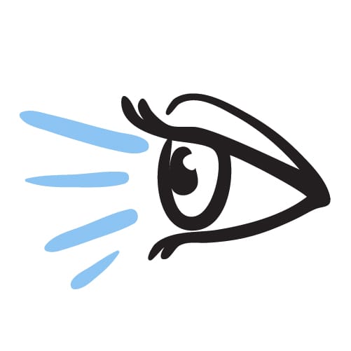 autor/shutterstock