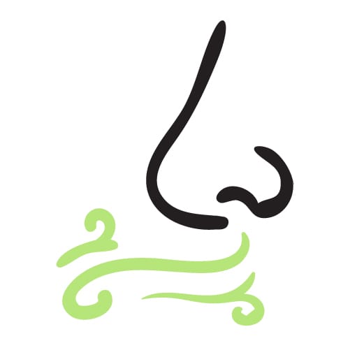 autor/shutterstock