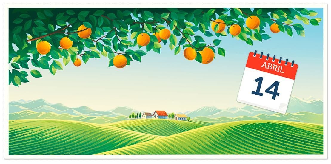 Imagem: Shutterstock.com