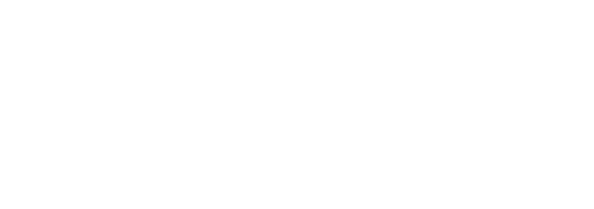 Conclusão Logo